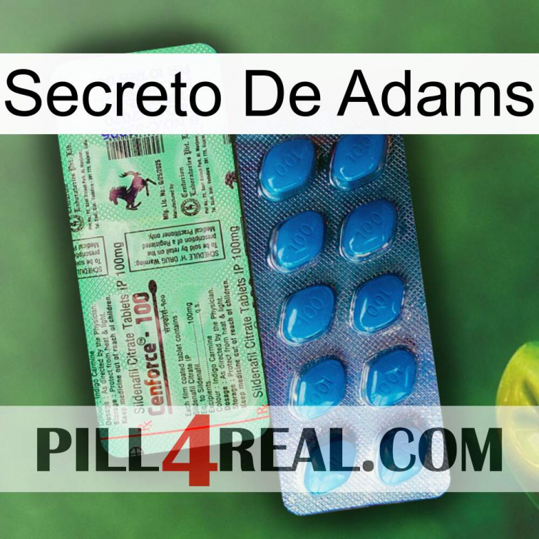 Adams Secret new02